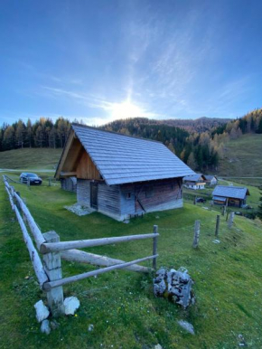 Almhütte Dolinza Alm